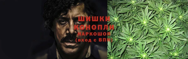 ешки Арсеньев