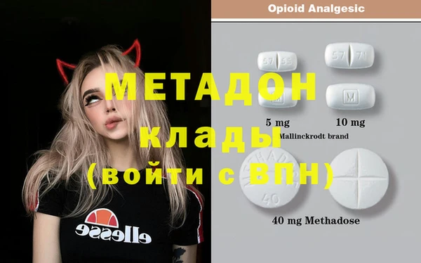 прущие грибы Магас