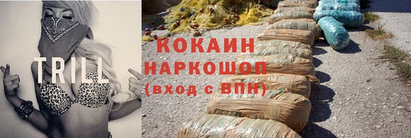 прущие грибы Магас