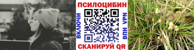 Галлюциногенные грибы мицелий  Купить закладки  Касли 